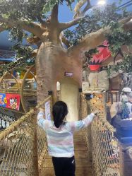 -卡通尼·Safari非洲探索乐园·生日会(金桥国际商业广场店)