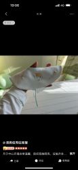 -baby bella小贝拉母婴护理中心(杭州凯宾斯基酒店)