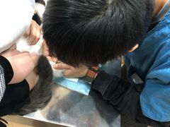 -瑞派名望24h动物医院异宠专科·猫专科·骨科·重症监护分院