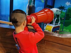 -中国宋庆龄青少年科技文化交流中心