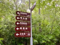 -紫霞湖公园