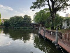 -华雅花园大酒店