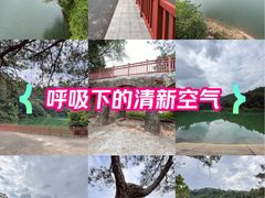 -佛山市三水区大南山森林公园