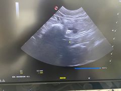 -邢大夫动物医院