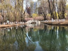 -长白岛森林公园