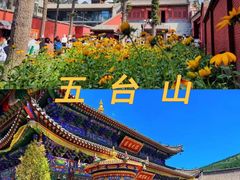 -五台山风景名胜区