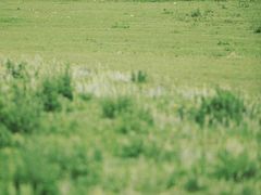 -玉湖村