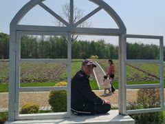 -同里国家湿地公园