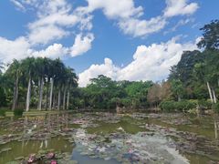 -中国科学院西双版纳热带植物园