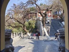 -千佛山风景名胜区