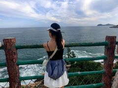 -广东惠东海龟国家级自然保护区