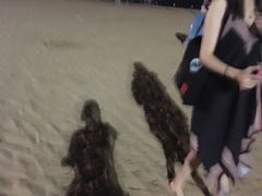 -碧海金沙