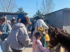 -瑞思少儿中心·少儿英语素养启蒙(勒泰直营校区)