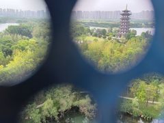 -洋湖国家湿地公园
