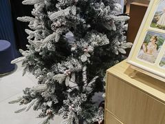 -海马体照相馆(大连柏威年购物中心店)