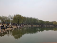 -丁香湖公园