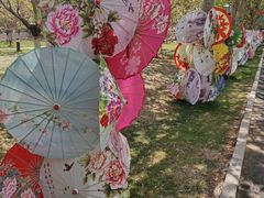 -静之湖度假区