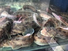 -香满居张记小厨私房菜(青岛站店)