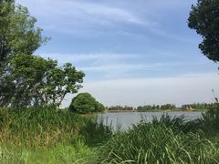 iphone_upload_pic-梁鸿国家湿地公园