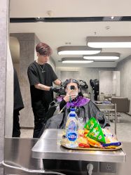 -P.STYLE 派斯造型
