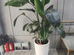 -ADO KAFE(大学城店)