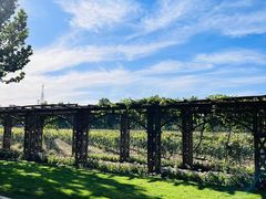 -北京张裕爱斐堡酒庄