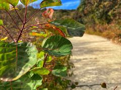 -北京西山国家森林公园