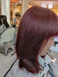 -东方麒麟·潘多拉SALON