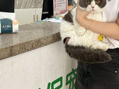 -爱侣宠医·鹦鹉专科·小型哺乳类·异宠专科(灵石路店)