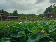 -广州莲花山旅游区