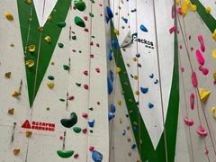 -绿壁虎攀岩基地(Tcar店)