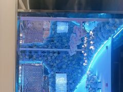-湖锦酒楼·32年地道湖北菜(光谷店)