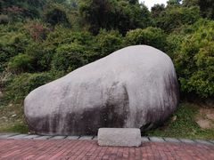 -火炉山森林公园