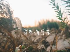 -上海国际音乐村