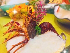 -半岛翡丽海鲜自助餐厅(观风亭店)