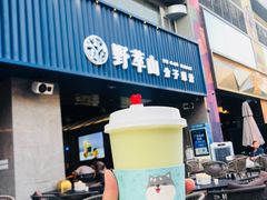 -野萃山·潮汕厚果汁(十亩地店)