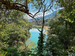 -广州市流溪河国家森林公园