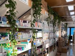 -中国农业大学动物医院