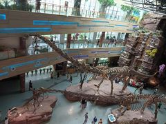 -安徽省地质博物馆
