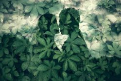 -帆拉斐婚纱摄影(春熙店)