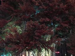 -开元盛世广场(新华北路店)