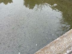 -龙潭水乡