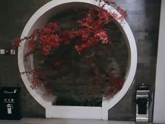 -金狮麟·新豫菜(金码大厦店)