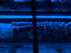 -贝林大翅鲸简餐厅(国家海洋博物馆店)