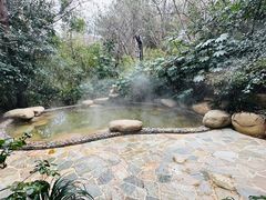 -天目湖涵田半山温泉