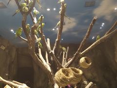 -zoonana室内动物园(东方福来德店)