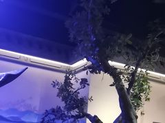 -绿茶餐厅(燕郊永旺店)