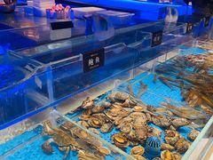 -加餐海鲜自助(宝龙一城店)