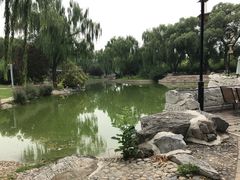 -万柳阁小馆·花园餐厅(龙潭湖店)