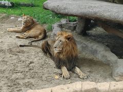 -北京野生动物园